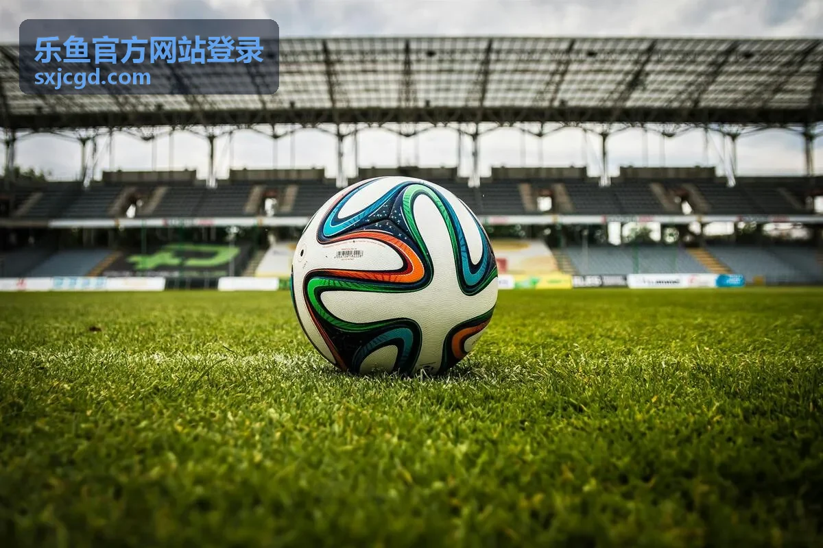 乐鱼官方网站登录精选内容概览图